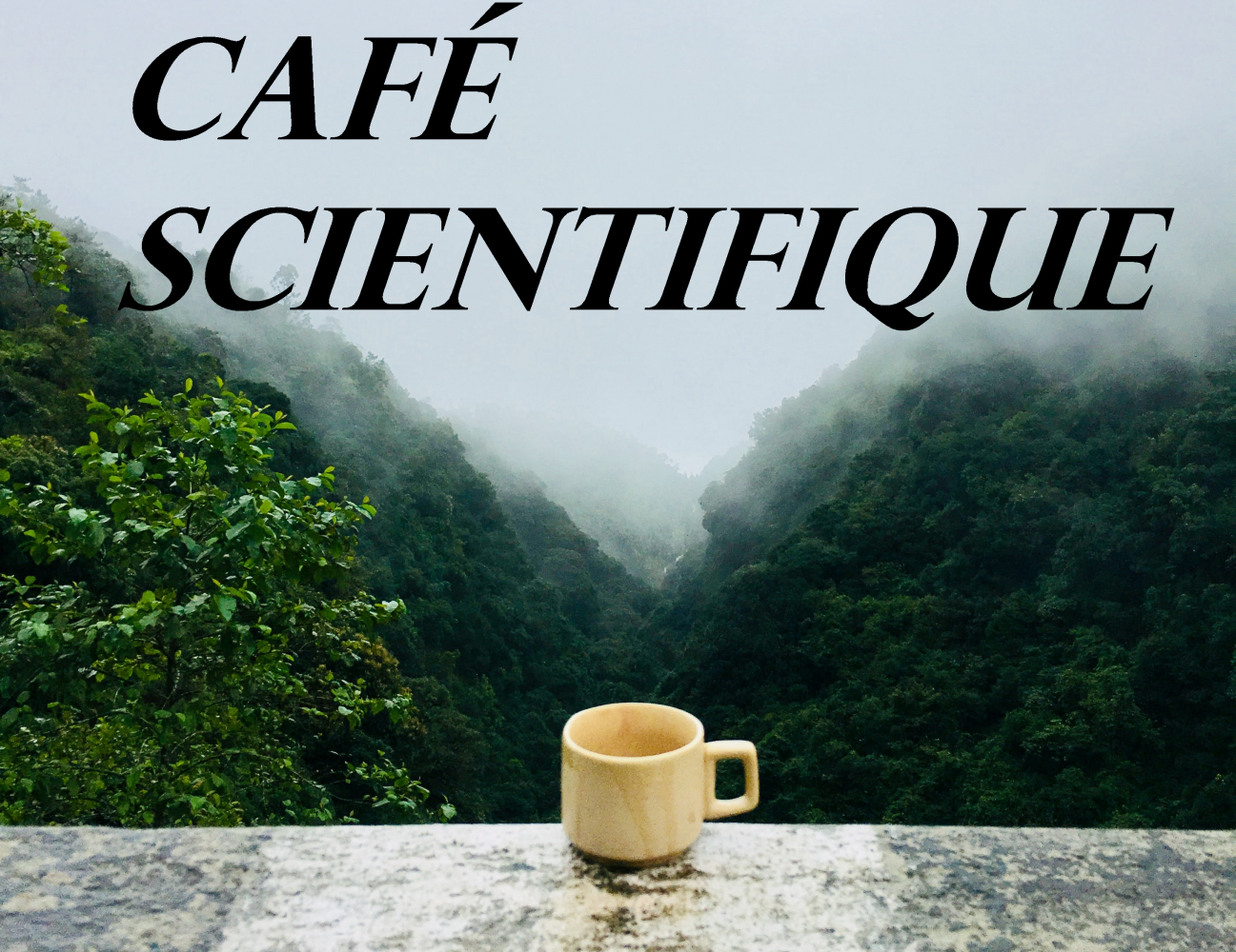 cafe scientific (originál)