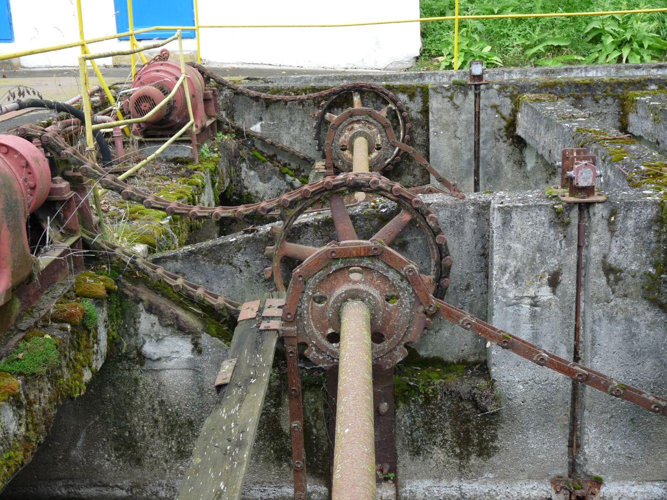 Biological wastewater treatment