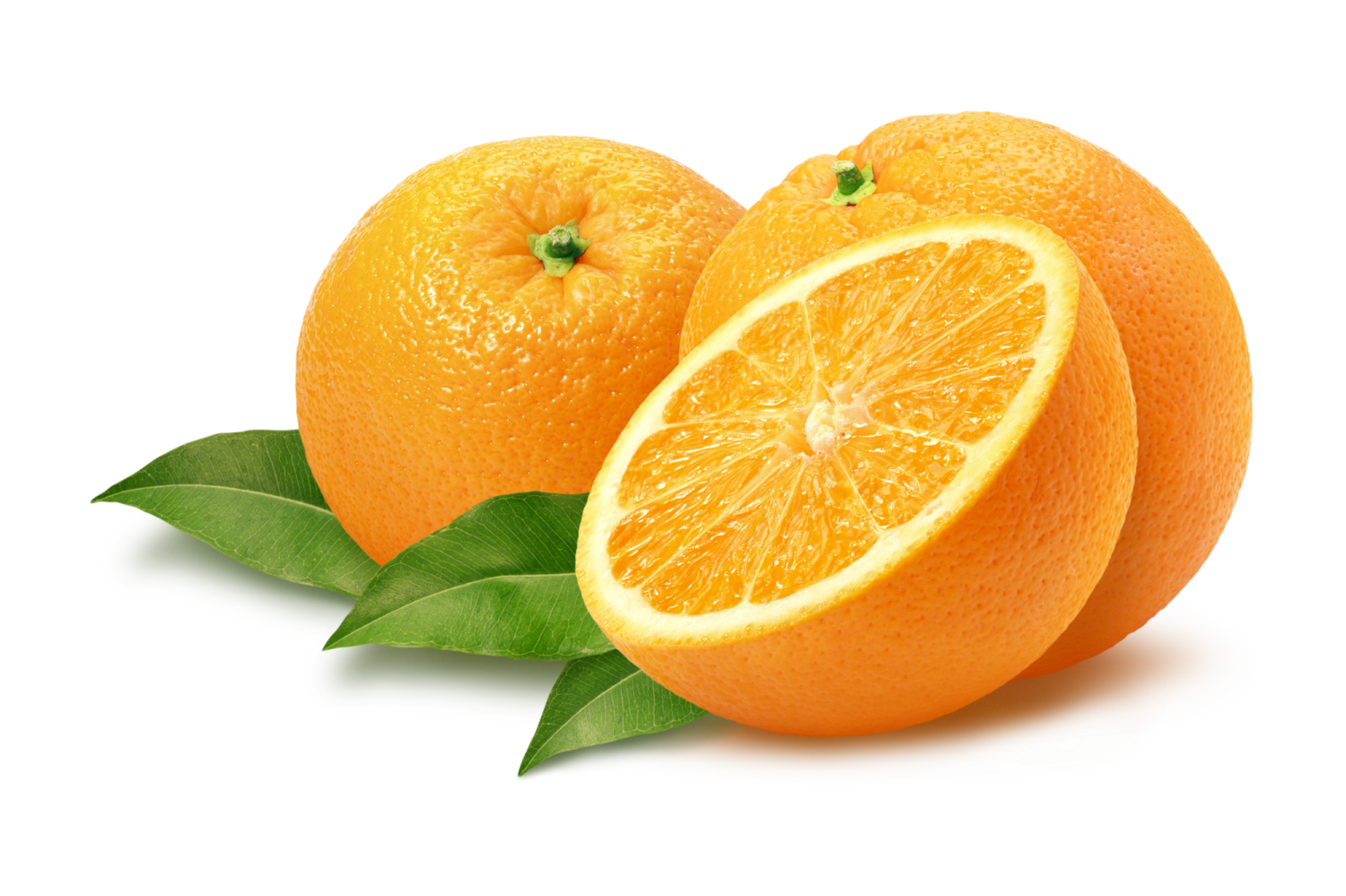 Tým CITRONOVA s naší (čerstvou) absolventkou postupuje do evropského finále BISC-E!