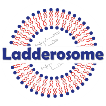  ◳ Ladderosome 1 (png) → (ořez 215*215px)