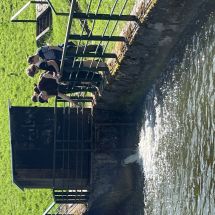 IMG_0536