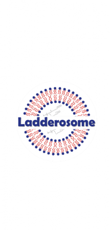 Ladderosome 3