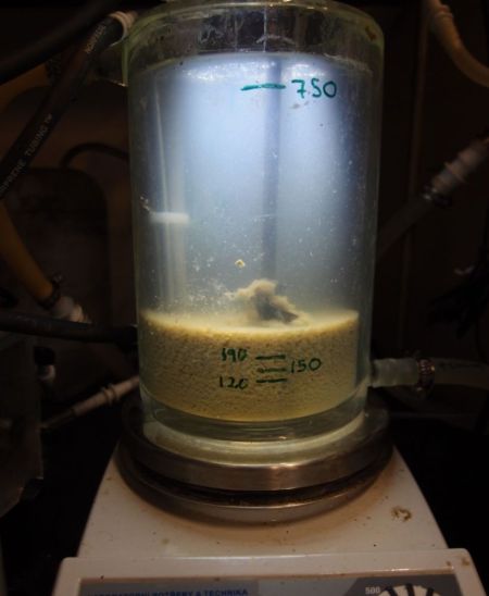 laboratorní model (1)
