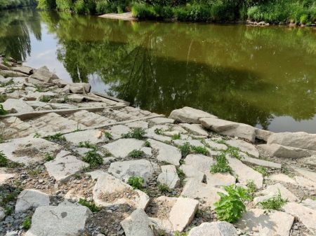bolevecký rybník 1
